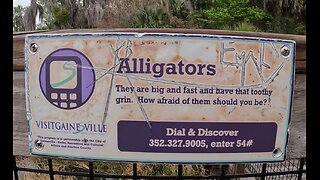 Paynes Prairie State Park, Florida