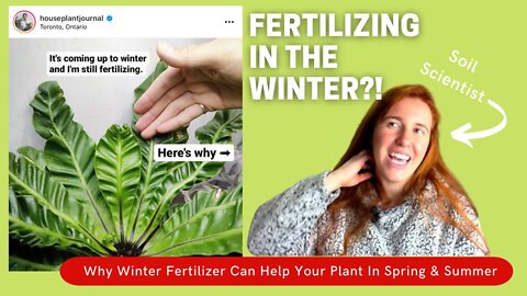 Should You Fertilize Houseplants In The Winter? The Science Of Fertilizing For Faster Summer Growth.