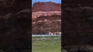 The Colorado River