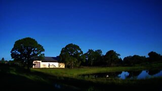 A slow tranquil morning at Venus Ranch here in Venus, Florida