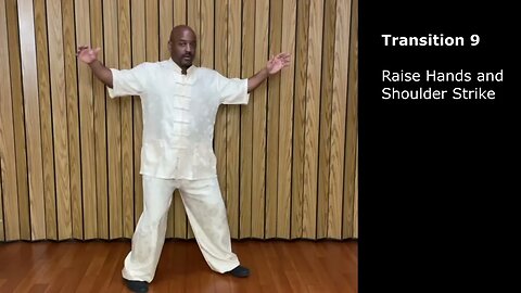 Tai Chi 9 Transitions from Single Whip Core Movement Analysis