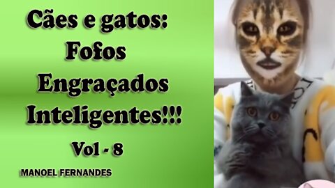 Cães e gatos: Fofos, engraçados e inteligentes!!! vol - 8