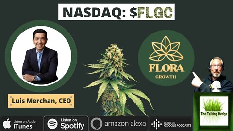 Mergers & Acquisitions with Flora Growth's CEO Luis Merchan (NASDAQ: FLGC)