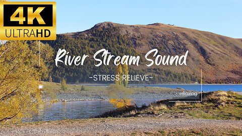 4K Forest Stream Relaxing River Sounds Boost Your Focus