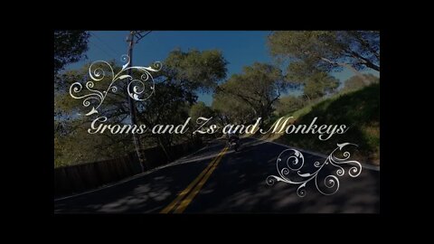 Groms and Zs and Monkeys