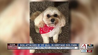 Johnson County Park Police looking for owner of dog who attacked, killed small dog