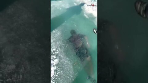 Man Swim in Extreme Cold Water || WooGlobe