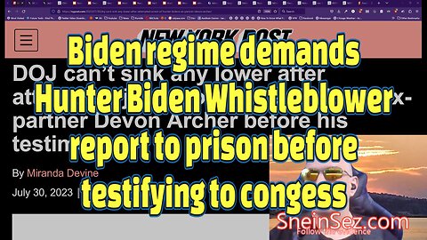 Biden regime demands Biden whistleblower go to prison before congressional testimony-SheinSez 246