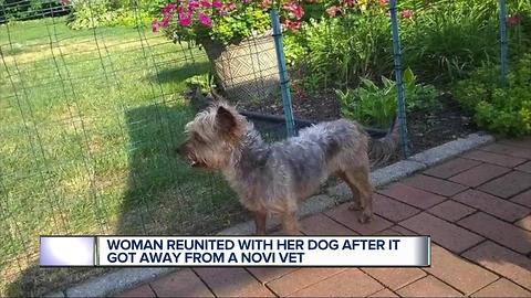 Woman reunited with pet who got away from vet