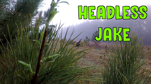 Headless Jake
