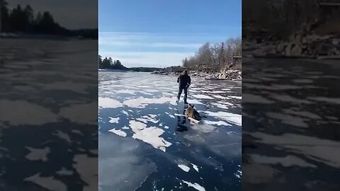 Fishermen help a deer stuck on a frozen river