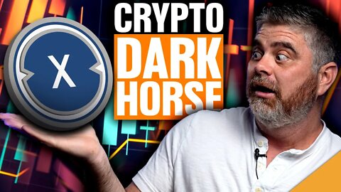 MAJOR XDC Update (BEST Crypto Dark Horse!)