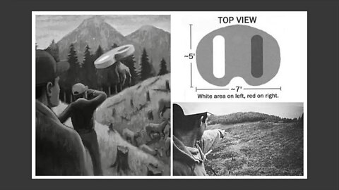 Daytime elk abduction by a UFO witnessed by forestry workers, Mt. St. Helens, Washington State, 1999