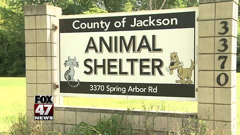 Jackson County Animal Shelter struck with Parvovirus scare