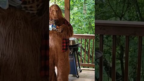 I think Bigfoot likes to steal cookies