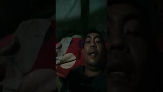 sehari sahari di temani zahra dan kucing saya si meong.