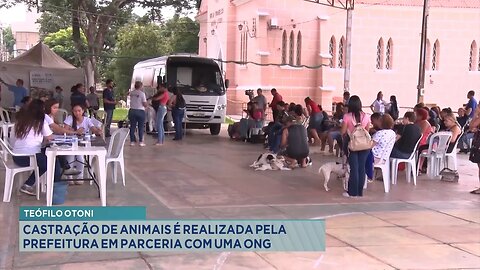 Teófilo Otoni: Castração de Animais é Realizada pela Prefeitura em Parceria com uma ONG.