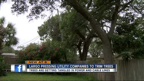Largo leaders pressuring utility, cable companies to trim trees