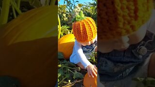 Talking to the Pumpkin