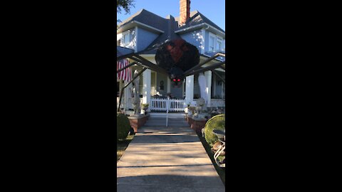 Giant Spider Halloween decoration