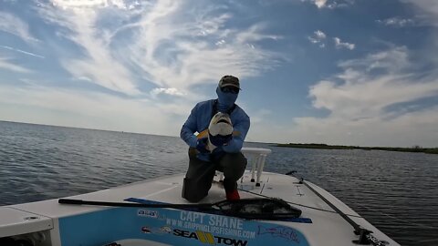 Epic, Awesome Solo Fly-Fishing trip for Redfish in Myrtle Grove, Louisiana!! #saltlife #fishing