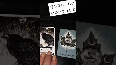 Reach Out? Yes or No Tarot Reading