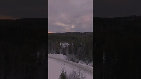 Dusk falls on forest covered with snowy landscape #shorts