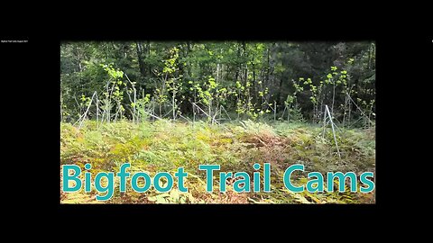 Bigfoot Trail Cams August 2021