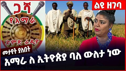 #Ethiopia አማራ ለ ኢትዮጵያ ባለ ውለታ ነው ❗️❗️❗️ Amhara | Fano | Welega | Ye harer Werk | OPDO | Jan-16-23