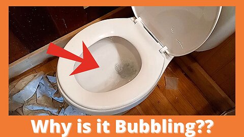 Toilet Bubbles When Other Is Flushed