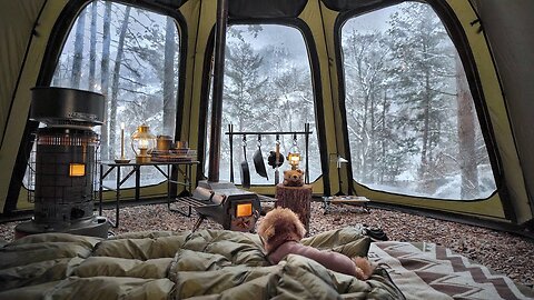 Solo Camping in Heavy Snow with My Dog. Relaxing in the Hot Tent. Wood Stove ASMR