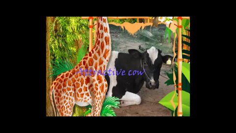 Attractive cow,#shorts#,#cow video for kids#,#cow video#,#animallove#