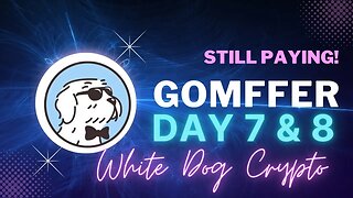 Gomffer Day 7 & 8 - The new AMM Defi but is it a scam? - Plus Huge news on a Vault Finance / Pulse