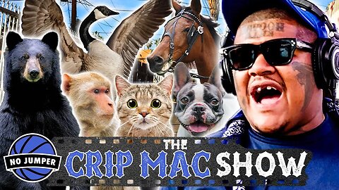 Crip Mac Reacts to Crazy Animal Videos
