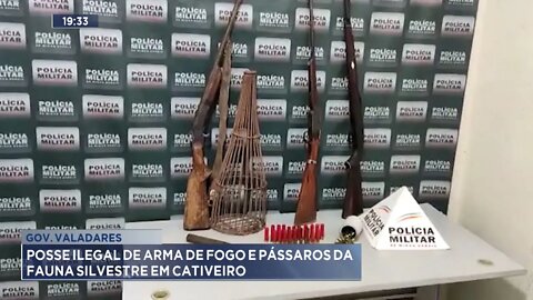 Gov. Valadares: Posse Ilegal de Arma de Fogo e Pássaros da Fauna Silvestre em Cativeiro.