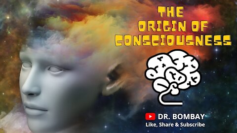 The Origins of Consciousness