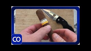 Cuban Cohiba Siglo VI Cigar Cut Open Real Or Fake