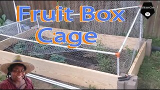 Fruit Box Cage Installation