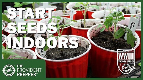 WWIII Victory Garden: How to Start Seedlings Indoors for an Earlier Harvest