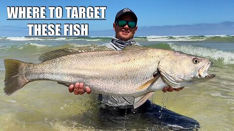 CAUGHT BEAUTIFUL KOB ON A SHALLOW SAND BANK WHILST USING DOUBLE HOOK SCRATCH TRACES. WATER READING!