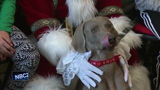 Families bring pets to meet Santa