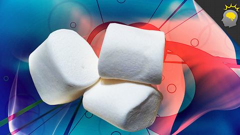 Stuff to Blow Your Mind: Marshmallows and Willpower - Science on the Web