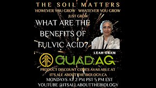 What Are The Benefits of Fulvic Acid?