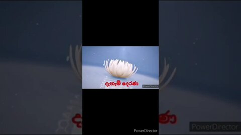 Dahami derana intro @දැහැමි දෙරණ