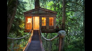 Treehouse Tour, Part 1