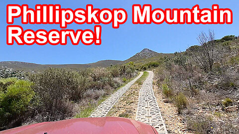 Driving up the mountain to Phillipskop Mountain Reserve! S1 – Ep 42