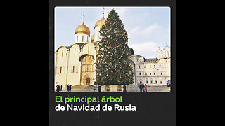 Adornan el principal árbol de Navidad de Rusia