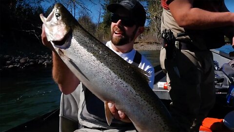 Late BROODSTOCK Winter Steelhead Fishing. | Addicted Life Ep. #34