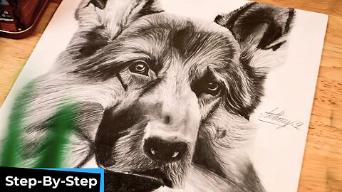 Mastering Realistic Dog Drawings in 10 Minutes