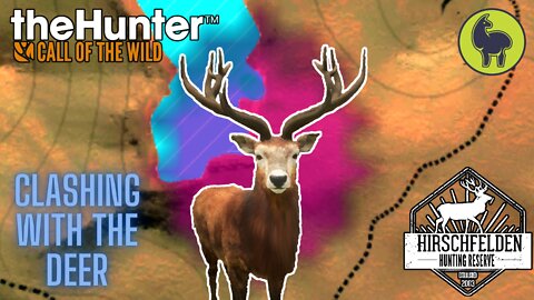 The Hunter: Call of the Wild, Bhandari- Clashing with the Deer, Hirschfelden (PS5 4K)